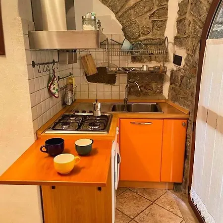 Tempesta * لاينوساي