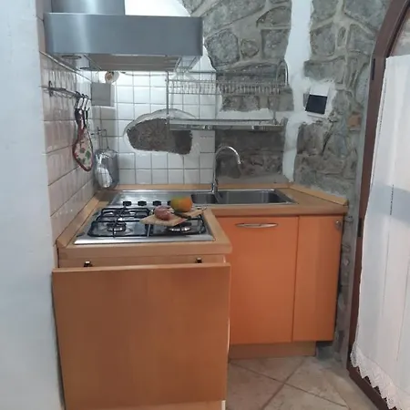 Tempesta لاينوساي